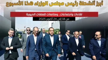 الحكومة تعزز الاستعدادات لافتتاح المتحف المصري الكبير وتدعم توطين الصناعات وتطوير القرى خلال أسبوع حيوي